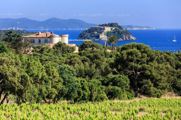 Château de Bregançon . Vin Rosé . Sud de la France